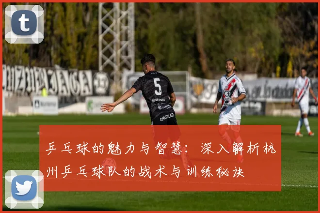 乒乓球的魅力与智慧：深入解析杭州乒乓球队的战术与训练秘诀