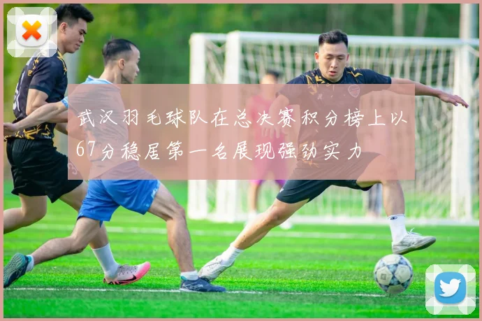 武汉羽毛球队在总决赛积分榜上以67分稳居第一名展现强劲实力