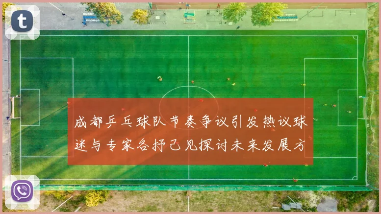 成都乒乓球队节奏争议引发热议球迷与专家各抒己见探讨未来发展方向