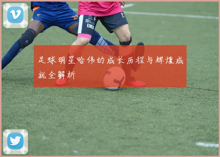 足球明星哈伟的成长历程与辉煌成就全解析