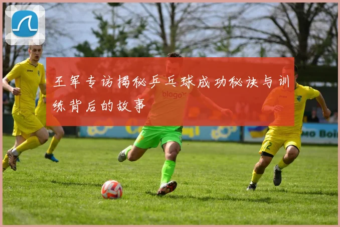 王军专访揭秘乒乓球成功秘诀与训练背后的故事