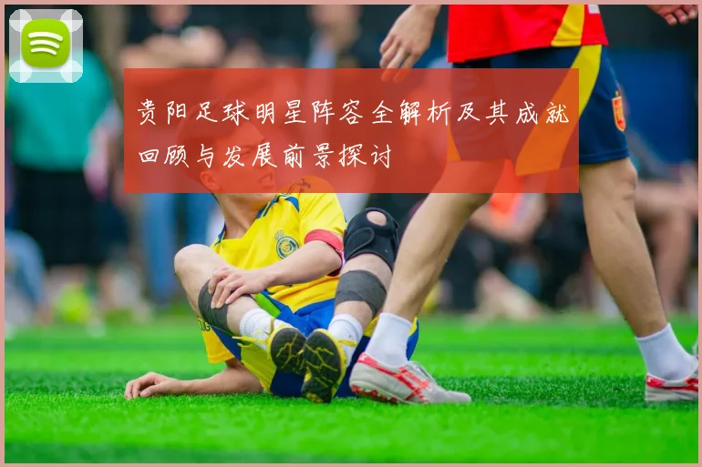 贵阳足球明星阵容全解析及其成就回顾与发展前景探讨