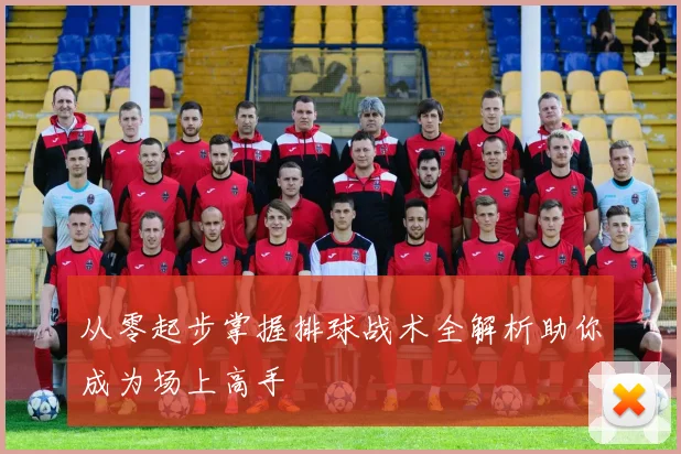 从零起步掌握排球战术全解析助你成为场上高手