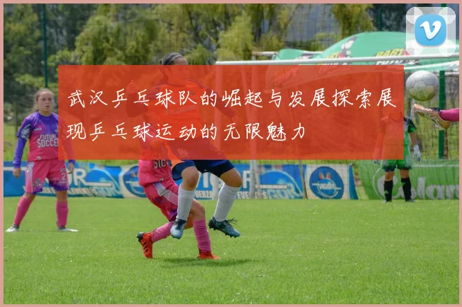 武汉乒乓球队的崛起与发展探索展现乒乓球运动的无限魅力