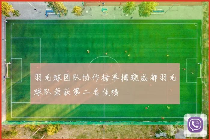 羽毛球团队协作榜单揭晓成都羽毛球队荣获第二名佳绩