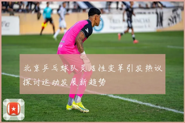 北京乒乓球队灵活性变革引发热议探讨运动发展新趋势