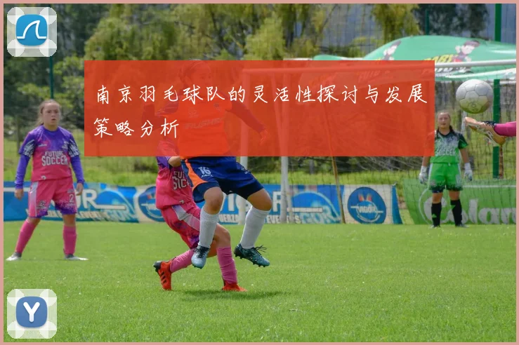 南京羽毛球队的灵活性探讨与发展策略分析