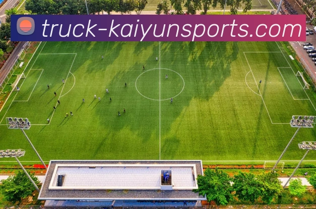 开云官方平台生态图