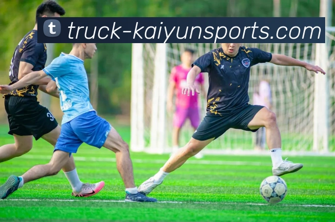 开云官方APP 封面图